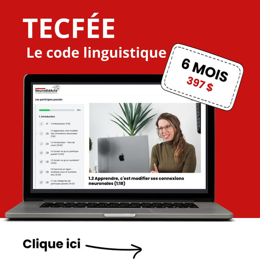 Réussir le TECFÉE – Formation sur le code linguistique (accès 6 mois – Promotion)