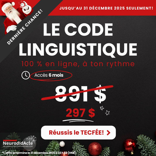 (6 mois)_CODE LINGUISTIQUE + RÉDACTION_ Cours de perfectionnement en français écrit – TECFÉE et autres tests de français