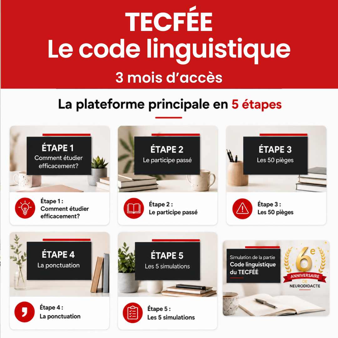 TECFÉE | Code linguistique | 3 mois